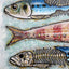 toile, art canvas, sardines, food